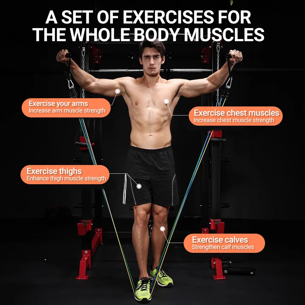 Multi-Function Resistance Band Power Kit — Full-Body Muscle Training & Portable Fitness System